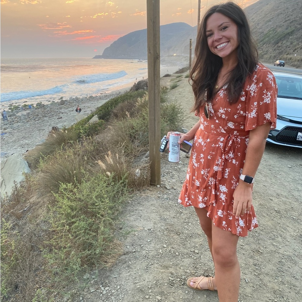 American Eagle Outfitters Rust Floral Mini Dress